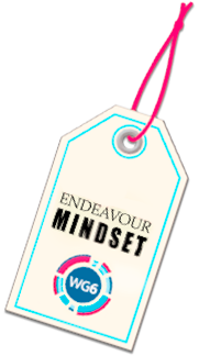 Endeavour Mindset